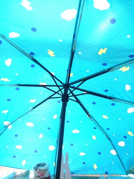 The umbrella from the underside.
