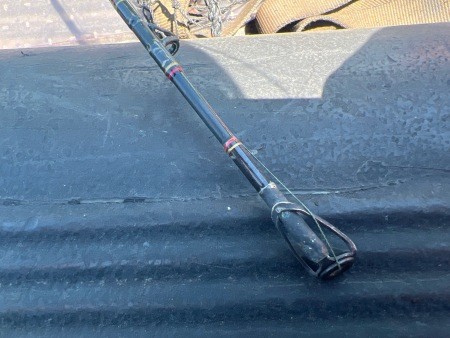 A fishing pole.