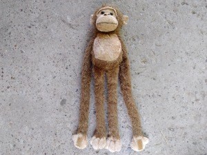 A monkey with long arms.