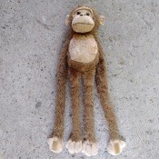 A monkey with long arms.