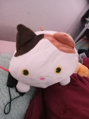 A front view of a stuffed cat.