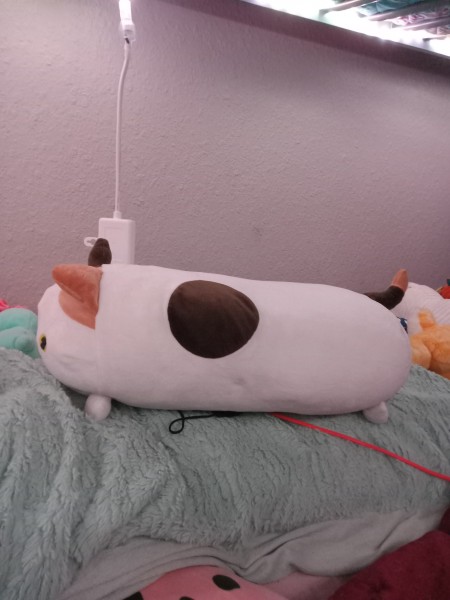 A side view of a stuffed cat.