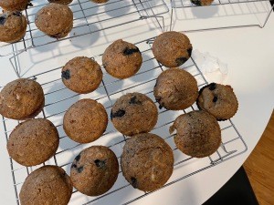 6 Week Bran Muffins