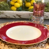 A china plate with a red rim.