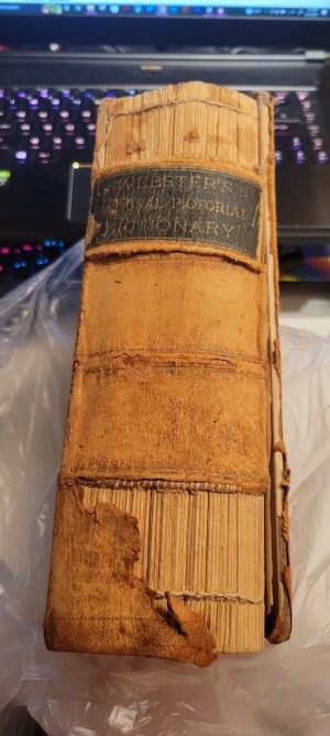 The worn spine of an old dictionary.