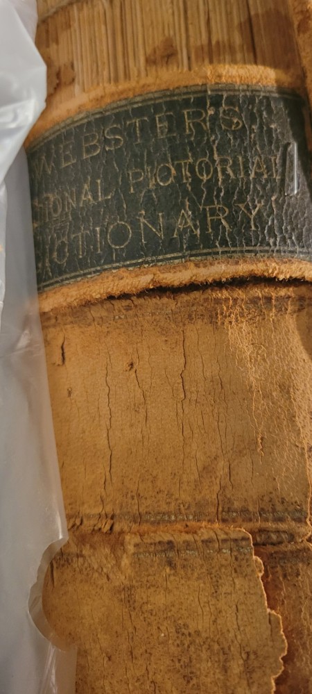 The spine of an old worn dictionary.