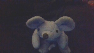 A stuffed mouse