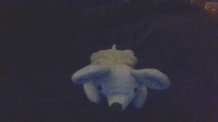 Top view of a stuffed mouse.