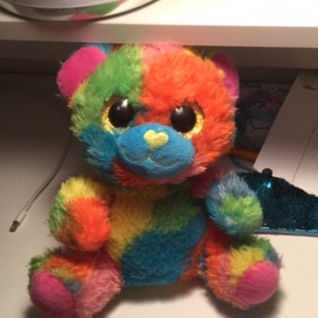 A multicolored stuffed bear.