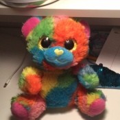 A multicolored stuffed bear.