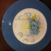 A blue china plate with a floral pattern in the center.