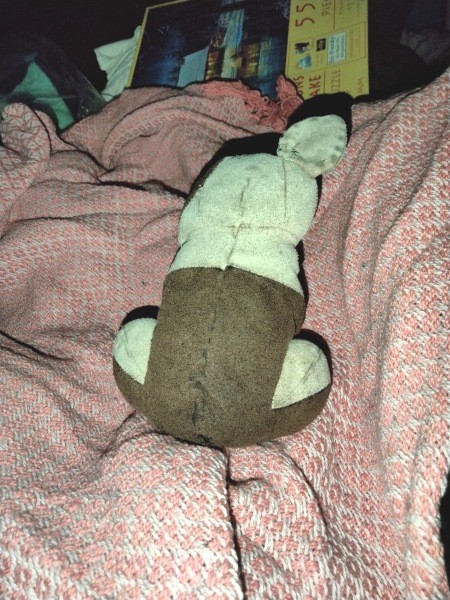 The backside of a stuffed dog.