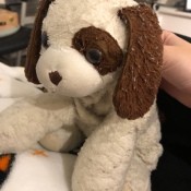 A brown and white stuffed dog.
