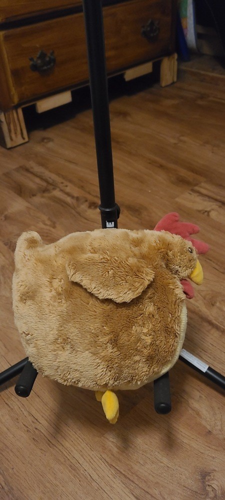 The top view of a stuffed hen.