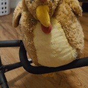 A stuffed animal resembling a hen.
