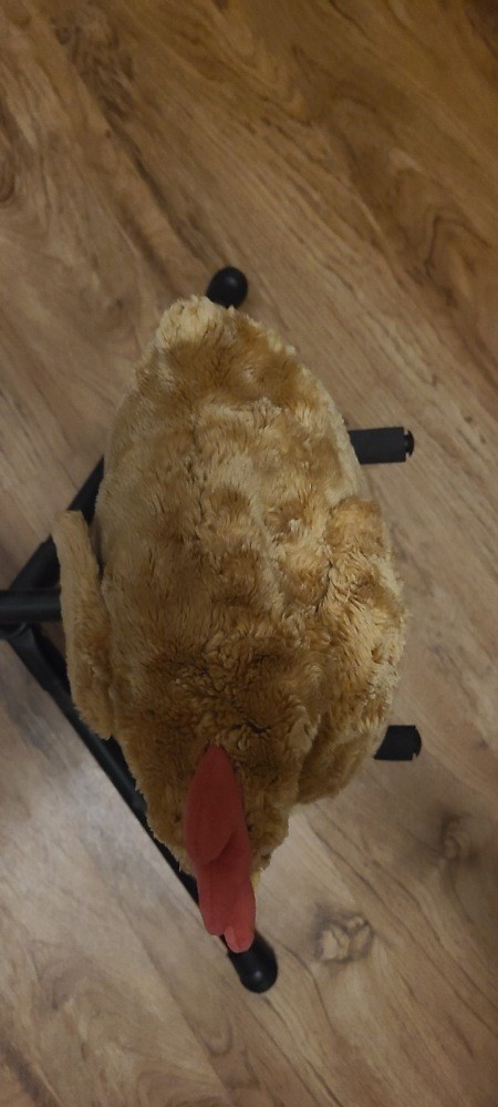 The top of a stuffed hen.