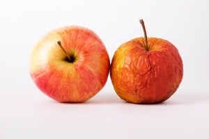 Two apples, one fresh and one wrinkled and older.