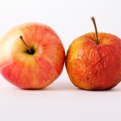 Two apples, one fresh and one wrinkled and older.