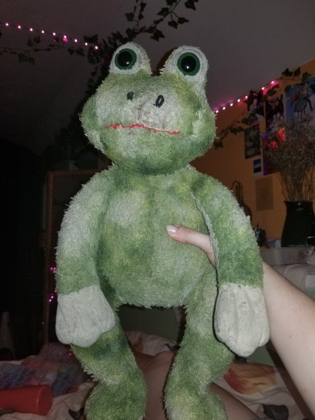 A green stuffed frog toy.