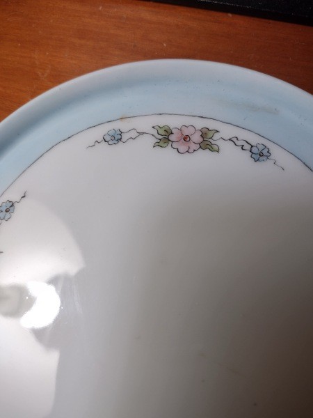 A close up on the flowers on a china plate.
