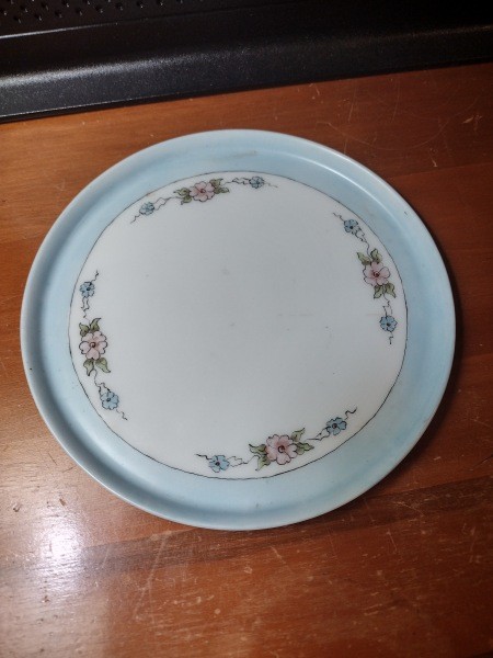 A china plate with a blue border and decorative flowers.