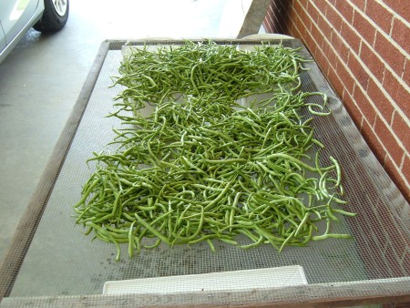 Drying the vegetables on a drying rack.