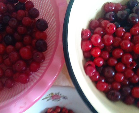 Preparing the cherries.