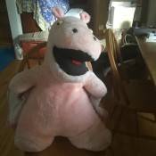 A pink stuffed hippo.