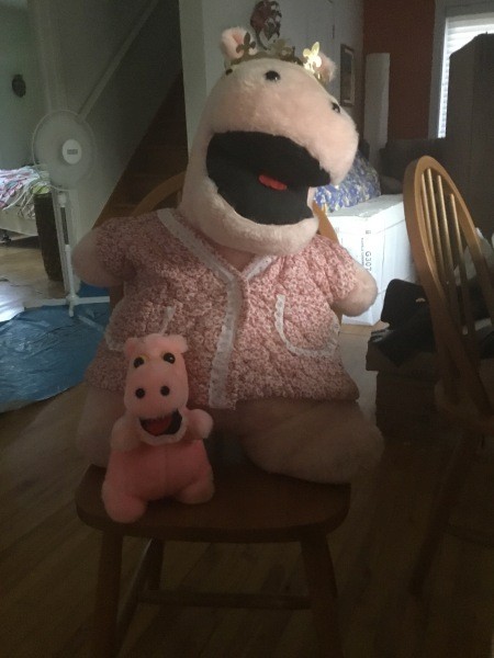 A pink stuffed hippo.