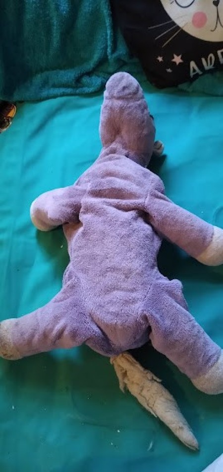 A small purple stuffed horse.