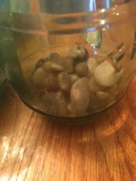 Adding the rocks to the bottom of the canning jar.