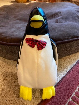 The front of a toy penguin.