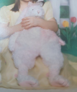 A large pink and white stuffed bunny.