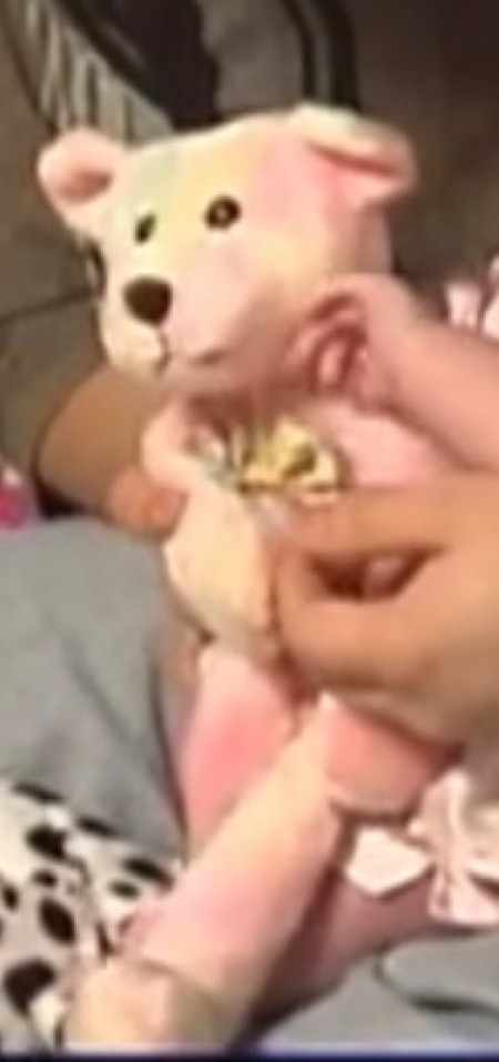 A small stuffed bear.