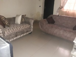 Two sofas in a living room.