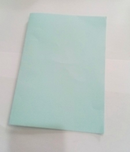 A folded piece of paper.