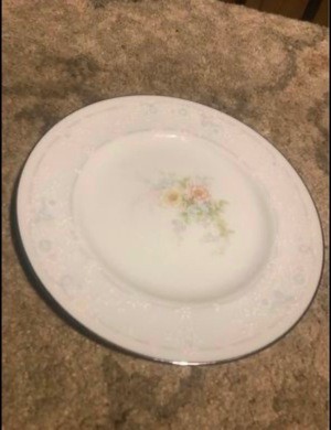 A china plate with a floral pattern.