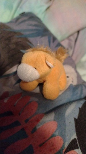 A small horse stuffed animal.