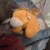 A small horse stuffed animal.