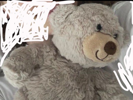 A stuffed teddy bear.