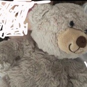 A stuffed teddy bear.