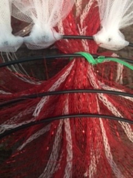 Attaching the tulle and ribbon to the wreath form.