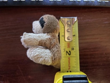 The measurement of a stuffed dog.