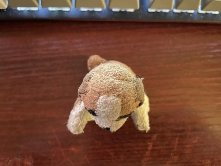 The top of a stuffed dog.