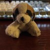 A small stuffed dog.