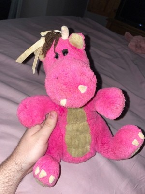 A pink stuffed dinosaur.