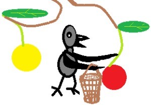 A drawing of a bird choosing a red cherry instead of a yellow one.