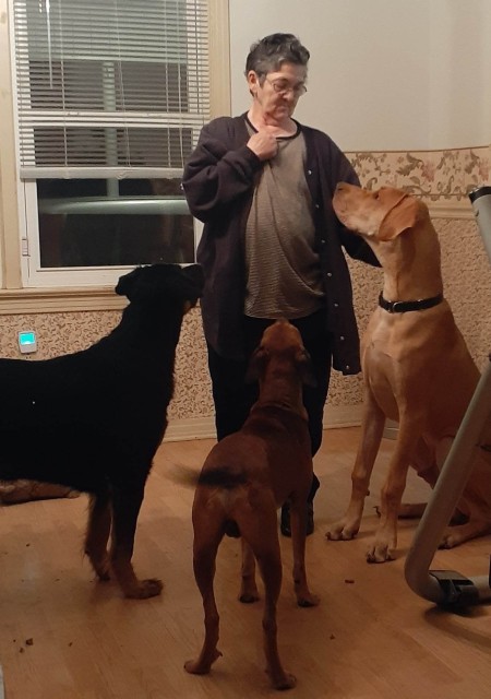 A woman with three dogs.