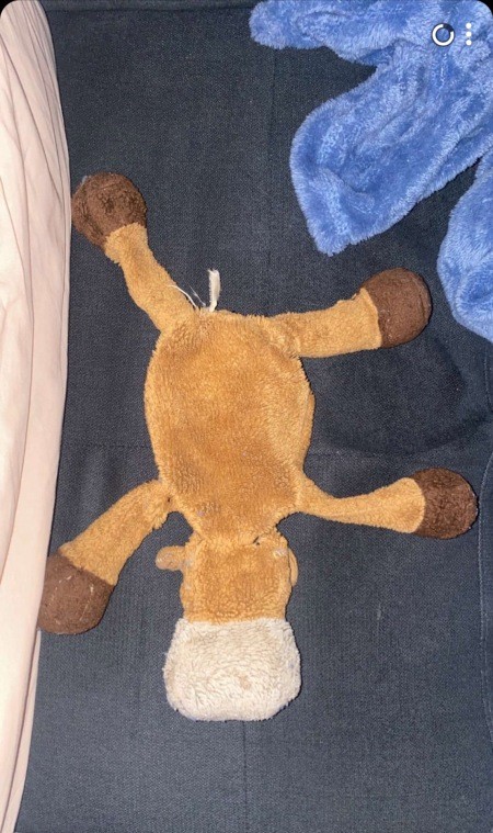 A brown stuffed horse.