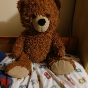 A brown teddy bear.
